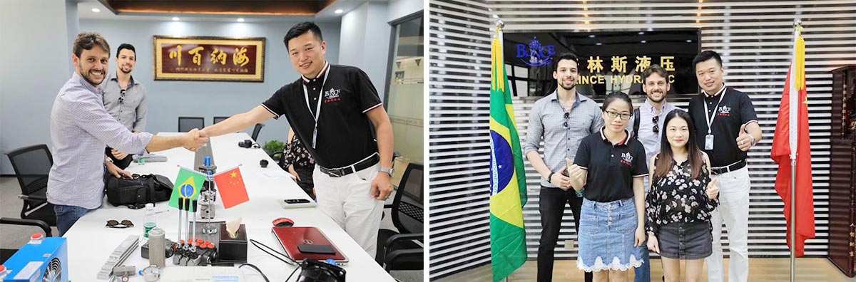 Diseño y unidad de energía hidráulica personalizada para el cliente de Brasil